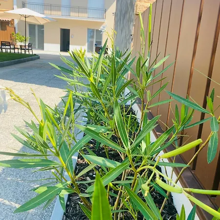 Appartamento Sul Vento Del Po Melara