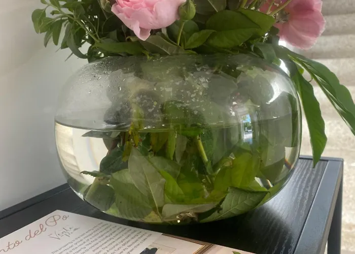 Apartment Sul Vento Del Po